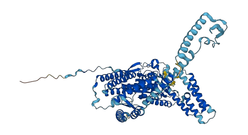 CARS1 3D structure