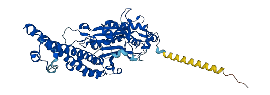 SARS1 3D structure