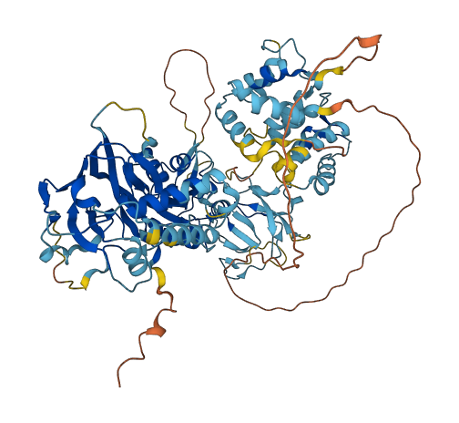DGKG 3D structure