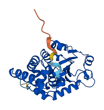 TTPA 3D structure