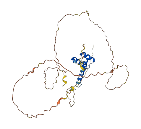 HOXA1 3D structure