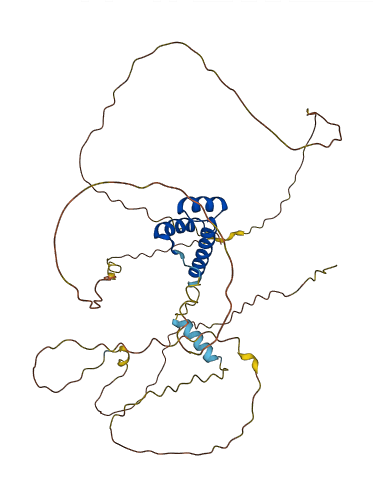 EVX1 3D structure