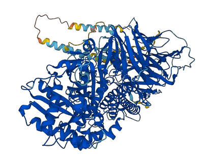 MAN2A2 3D structure