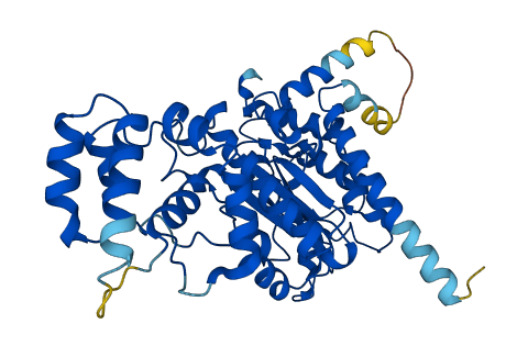 PRIM1 3D structure