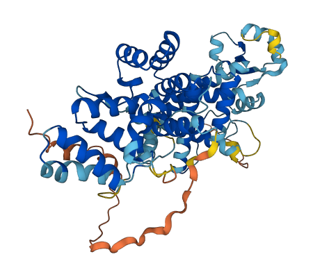PRIM2 3D structure