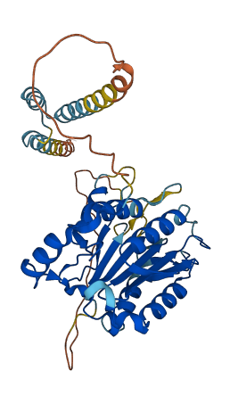 CASP4 3D structure