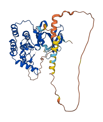CSNK1E 3D structure