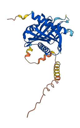 STAR 3D structure