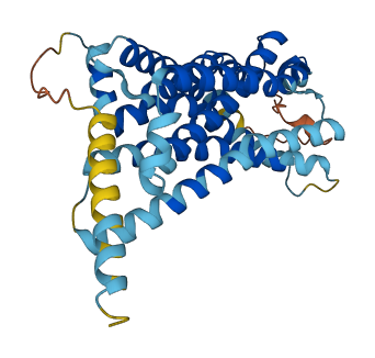GPR15 3D structure