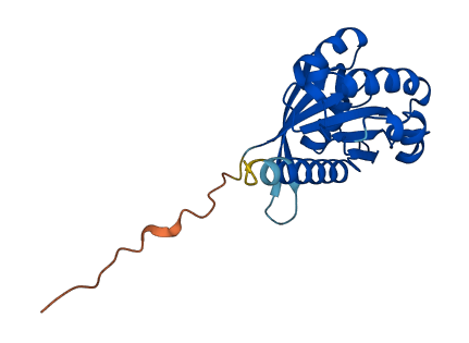 ARL4D 3D structure