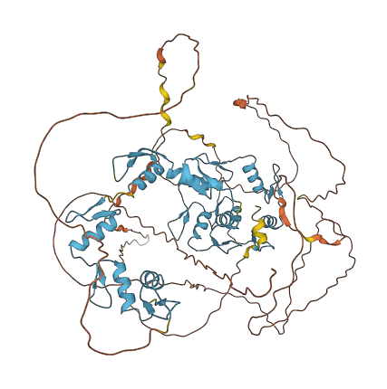 CTCF 3D structure