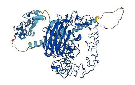 COMP 3D structure