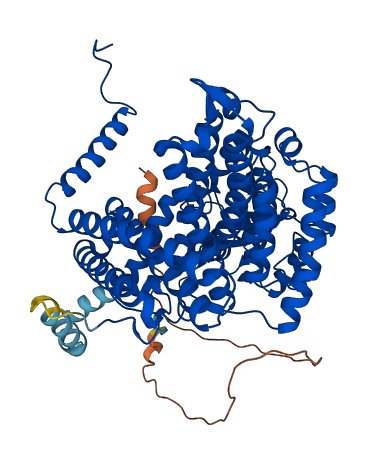 ACADVL 3D structure