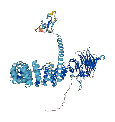 VPS41 3D structure