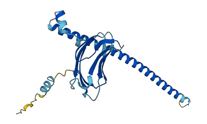 TMED10 3D structure
