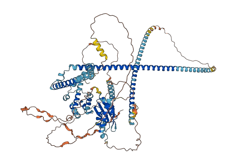 RBM25 3D structure