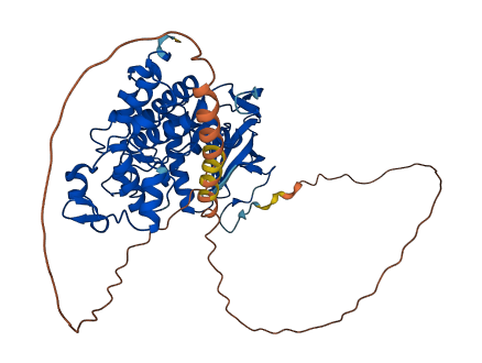 CLK1 3D structure