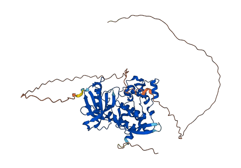 CLK2 3D structure