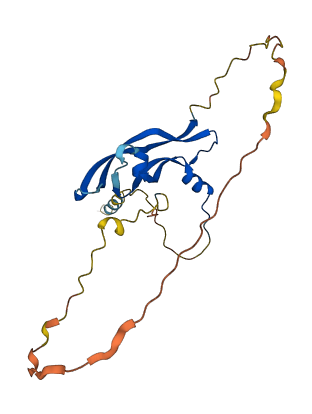 PGF 3D structure
