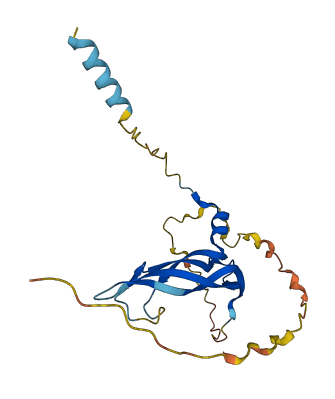 VEGFB 3D structure