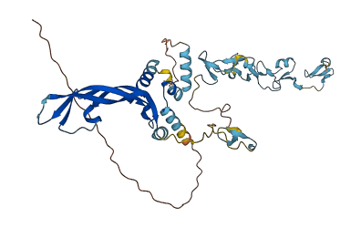VEGFC 3D structure
