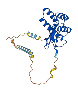 FLT3LG 3D structure