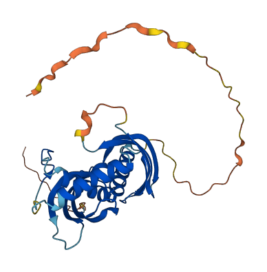 RARRES1 3D structure