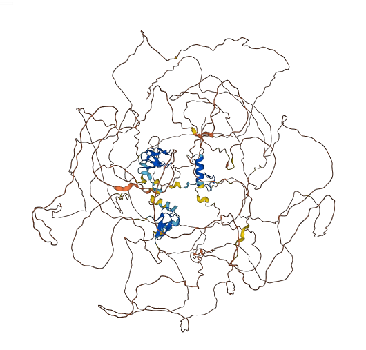 NUP153 3D structure