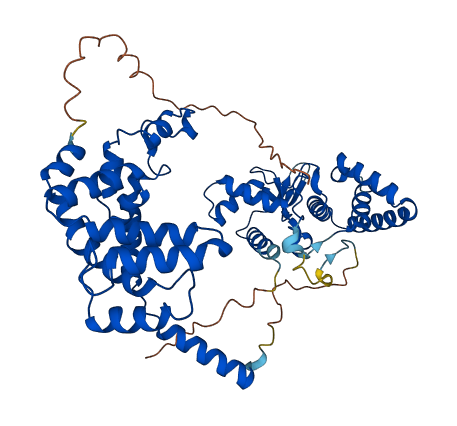 RGS7 3D structure