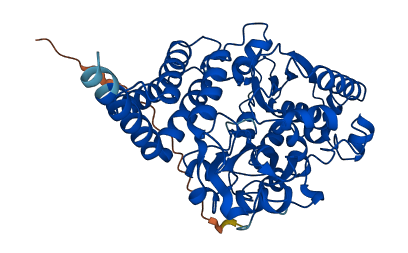 NDUFV1 3D structure