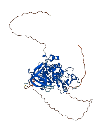 GSK3A 3D structure