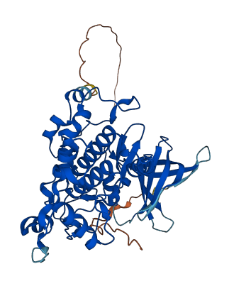 GSK3B 3D structure