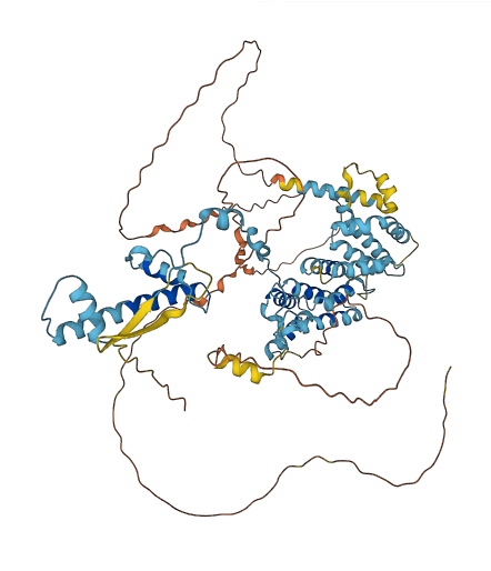 TAF6 3D structure