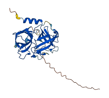 GZMK 3D structure