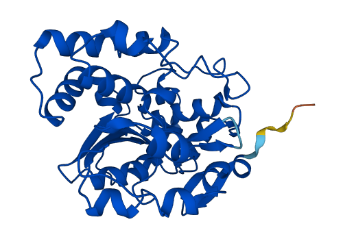 Ste 3D structure