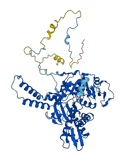 NT5C2 3D structure