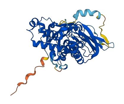 SEPHS1 3D structure