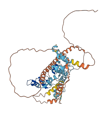 ZNF165 3D structure