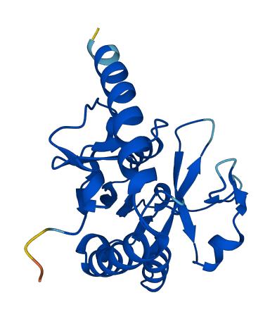MTHFS 3D structure