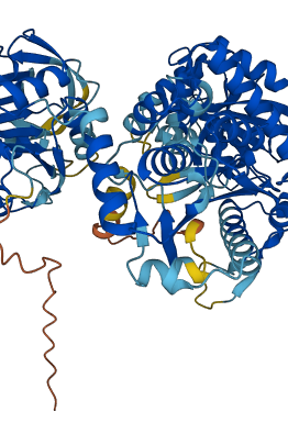 GMPS 3D structure
