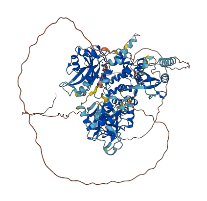 LIG3 3D structure