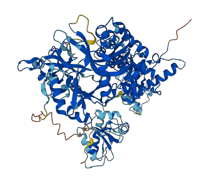 LIG4 3D structure