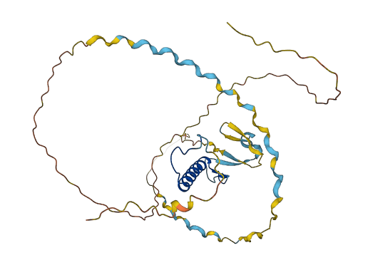 CDKN1C 3D structure