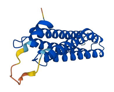 Ftl2 3D structure