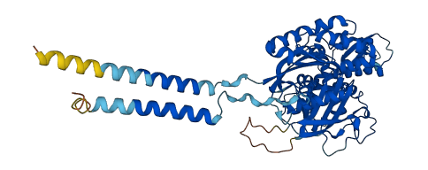 ENTPD1 3D structure