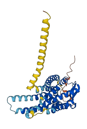 AGTR2 3D structure