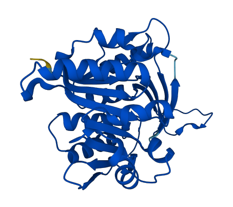 KHK 3D structure