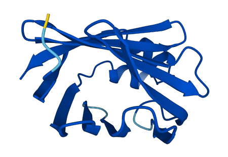 RBP2 3D structure