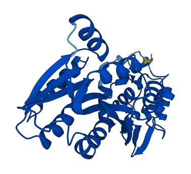 HNMT 3D structure