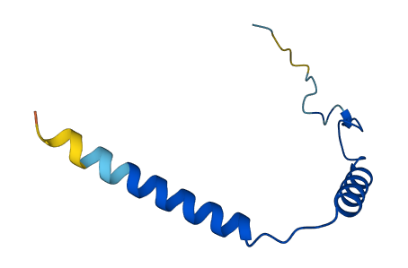 GNG4 3D structure